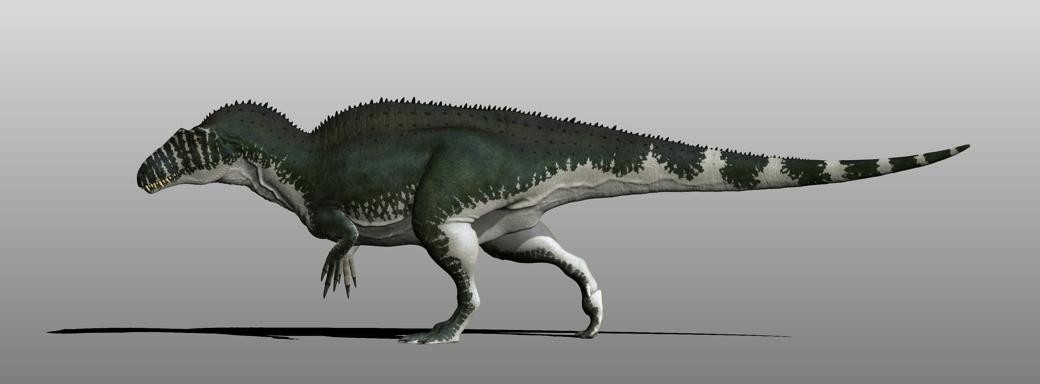 Acrocanthosaurus